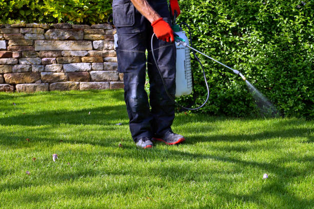 Best Snake Removal  in New Kingman Butler, AZ